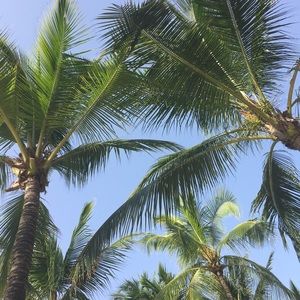 Meet your Posher, Nita